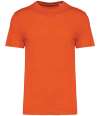 NS300 Unisex T shirt butternut colour image